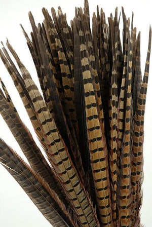 pheasant feathers 18in pack of 100