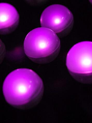 Pink Fairy Berries 10 Lights Magical LED Light, 3/4" Diameter (10 pieces )
