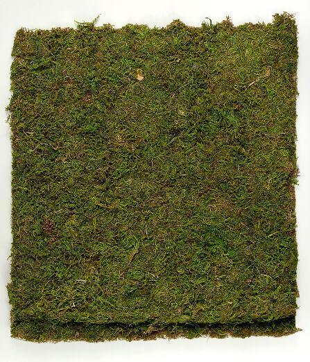 preserved natural moss 18 x 16 roll