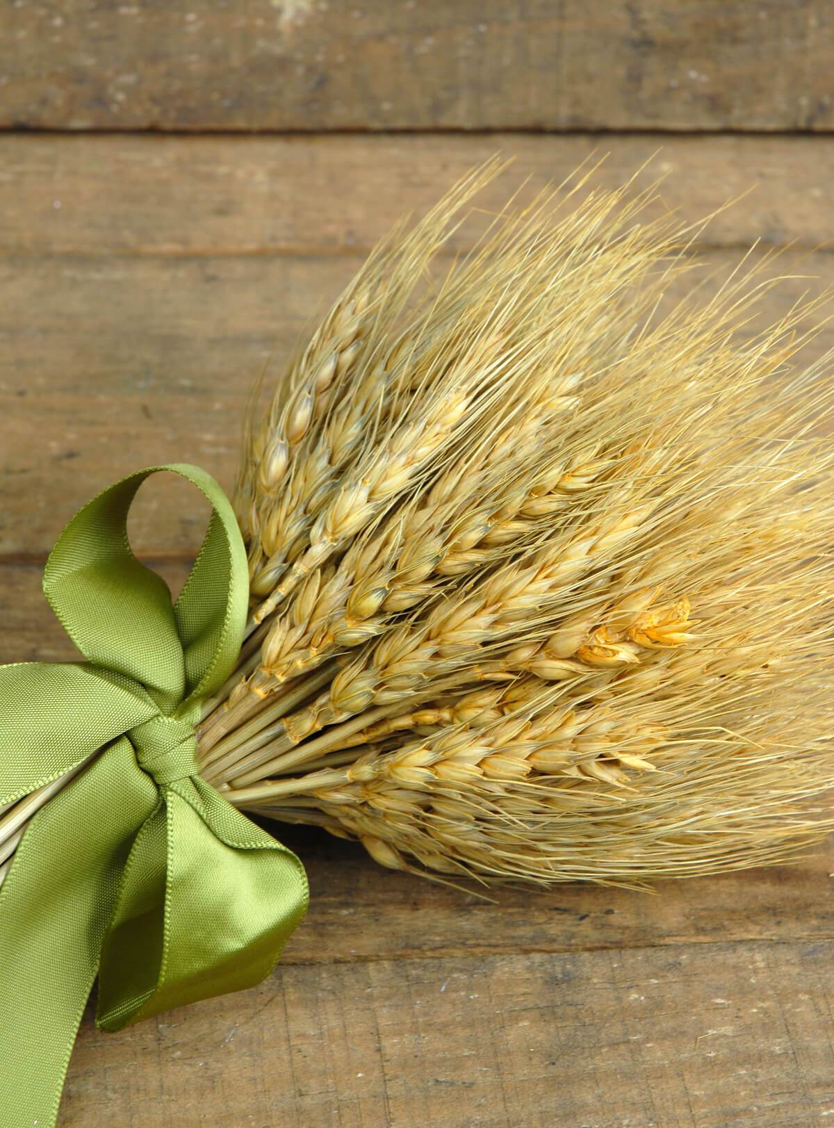 Natural Preserved Wheat Bouquet 9.5in
