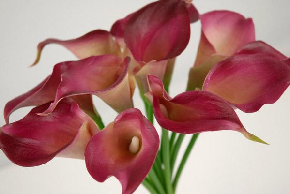 natural touch hand tied calla lily wedding bouquet dark fuchsia 12 flowers