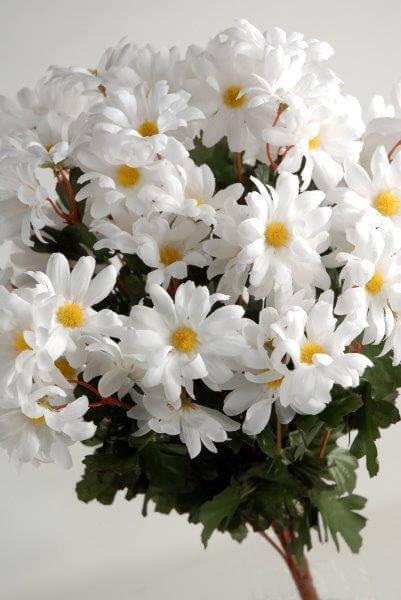 Silk White Daisies Bouquet (72  flowers)