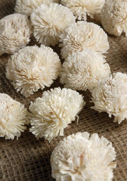 sola flowers gilly flower pack of 18
