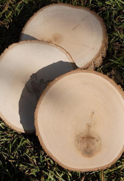 tree slice wood round 7 9 with bark edges
