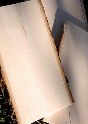 wood plank with bark 11 x 16